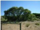 Lot 23 Padbury Road, Bookara WA 6525