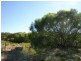 Lot 23 Padbury Road, Bookara WA 6525