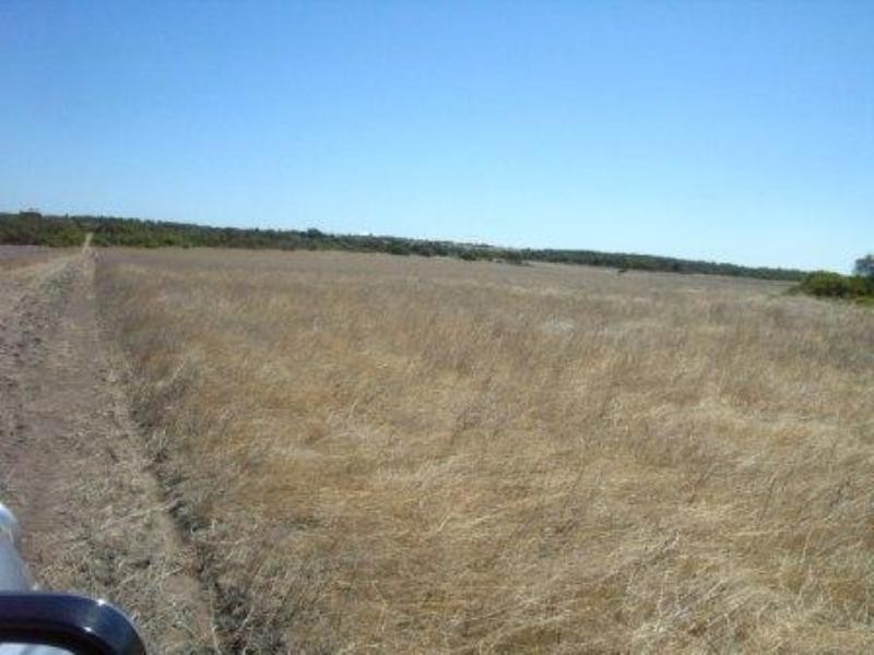 Lot 23 Padbury Road, Bookara WA 6525