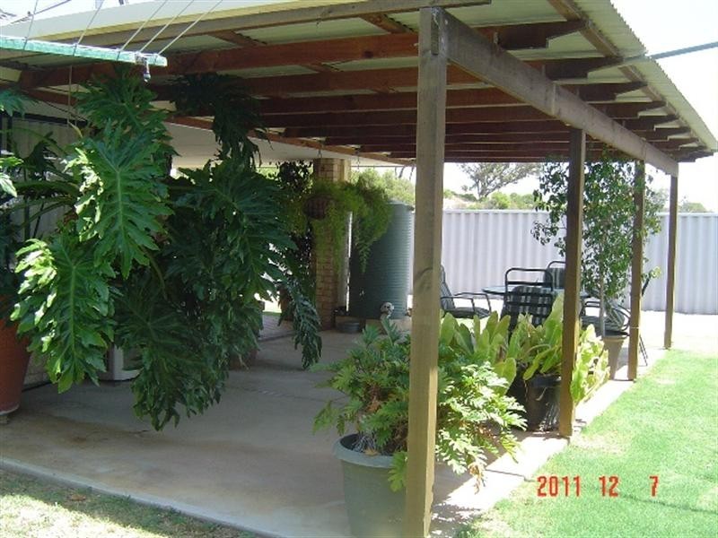 10 Sundew Avenue, Port Denison WA 6525