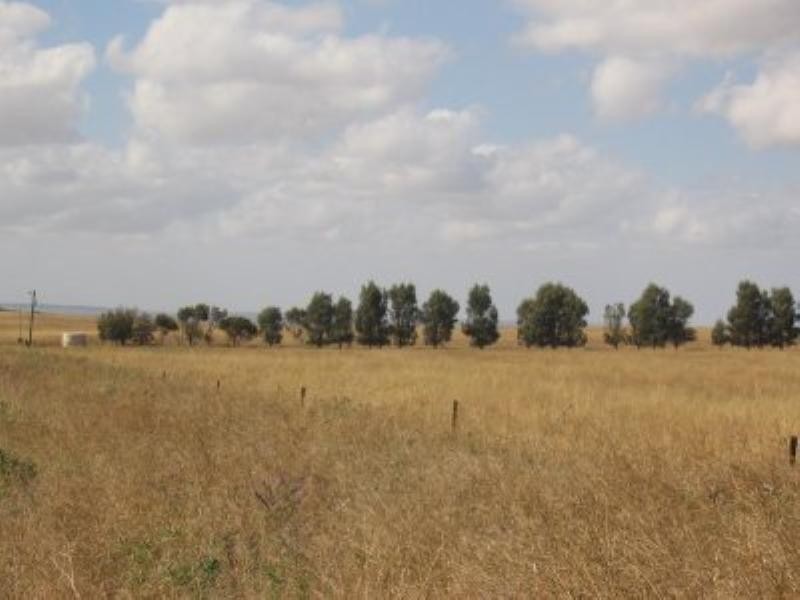 Dongara Wye Farm Road, Bonniefield WA 6525