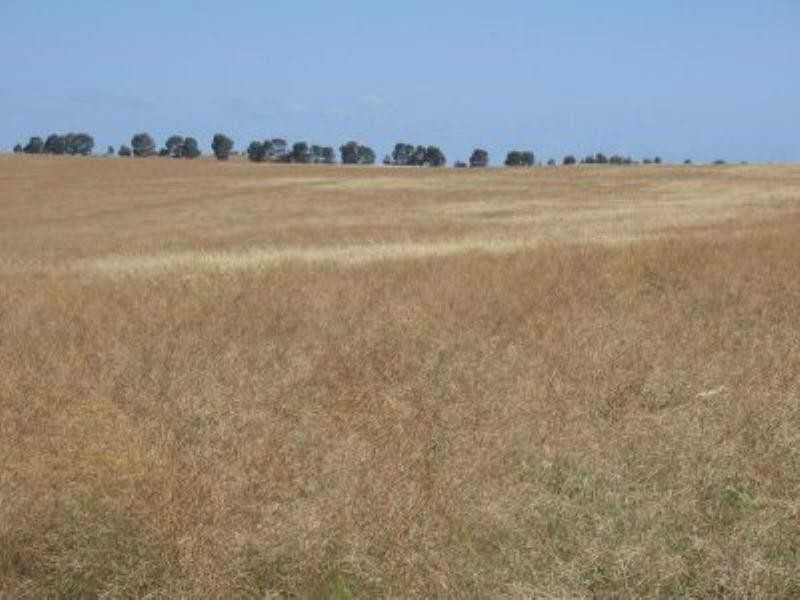 Dongara Wye Farm Road, Bonniefield WA 6525