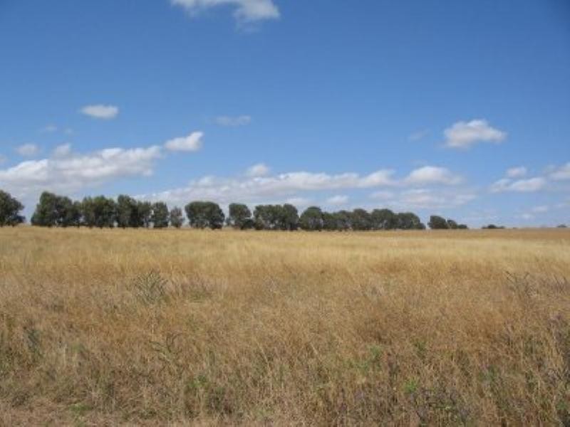 Dongara Wye Farm Road, Bonniefield WA 6525