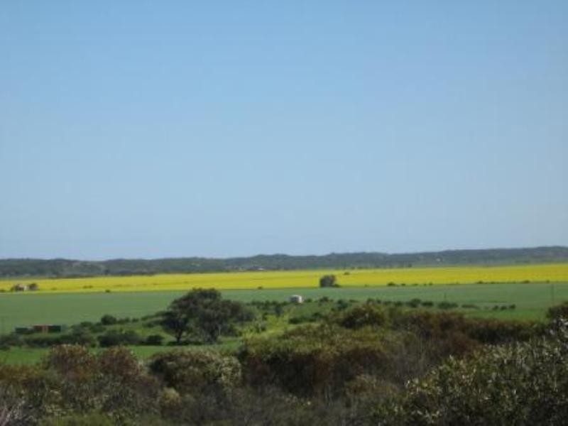 Greenough WA 6532