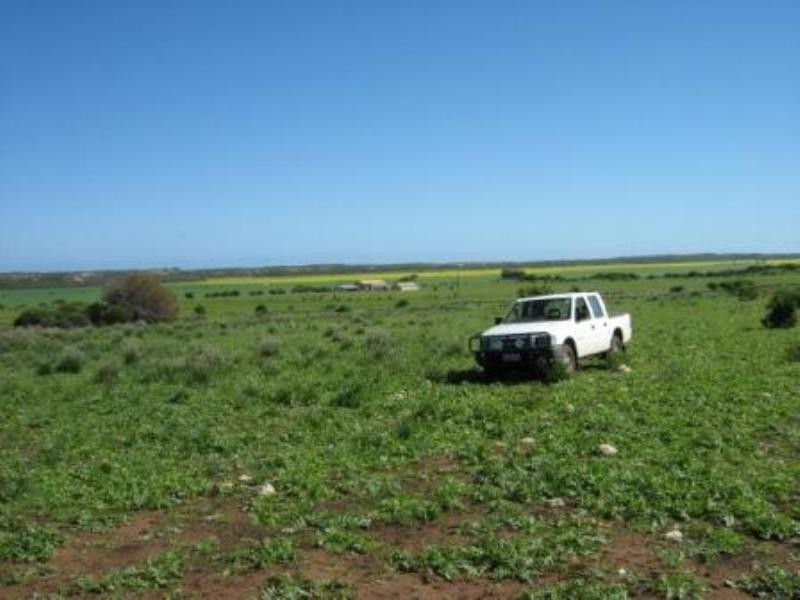 2297 Henry Road – Greenough, Dongara WA 6525