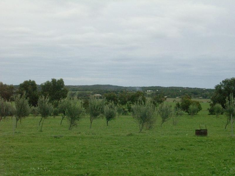 204 Bonniefield Road, Bonniefield WA 6525