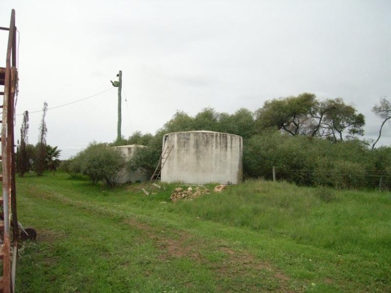 204 Bonniefield Road, Bonniefield WA 6525