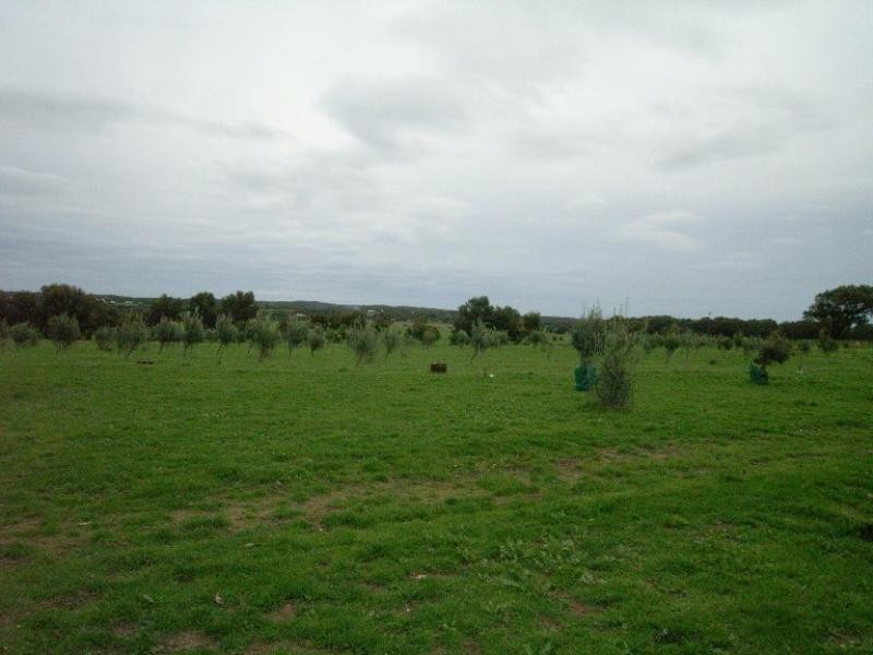 204 Bonniefield Road, Bonniefield WA 6525