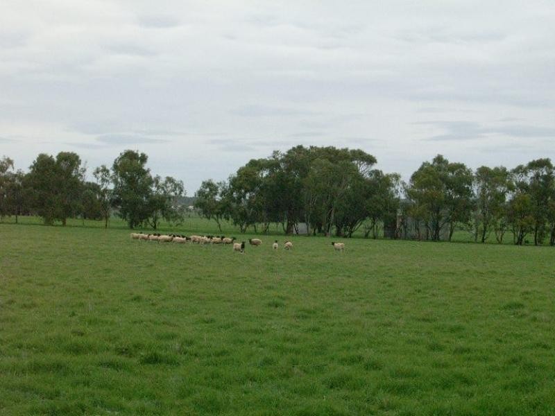 204 Bonniefield Road, Bonniefield WA 6525