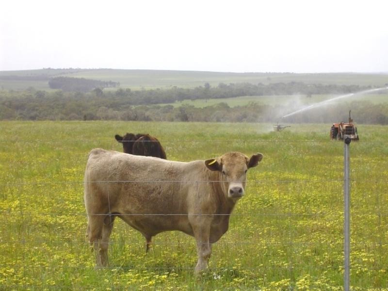 1 Milo Road, Irwin WA 6525