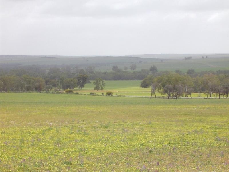 1 Milo Road, Irwin WA 6525