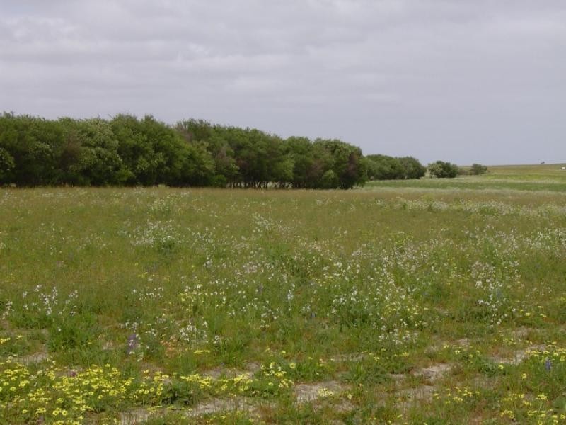 1 Milo Road, Irwin WA 6525