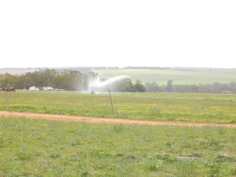 1 Milo Road, Irwin WA 6525