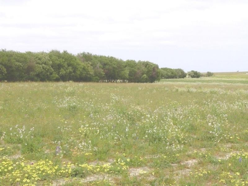 1 Milo Road, Irwin WA 6525