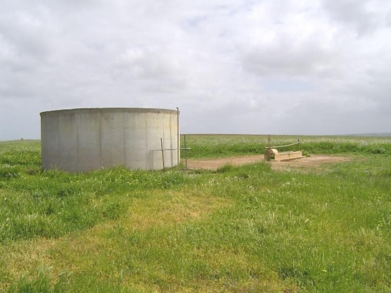 1 Milo Road, Irwin WA 6525