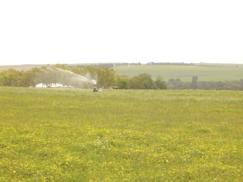 1 Milo Road, Irwin WA 6525