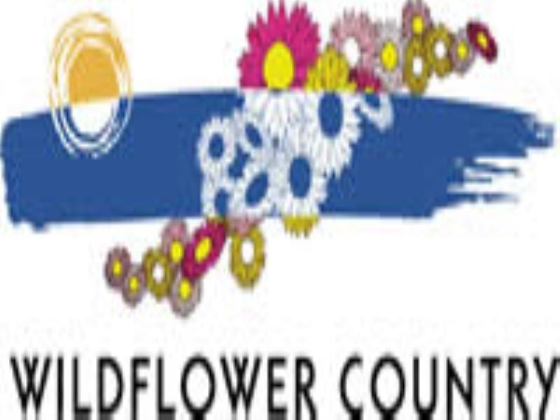 27 Oliver Street, Mingenew WA 6522