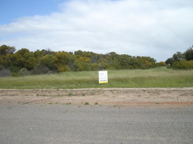 42 Rivergum Way, Springfield WA 6525