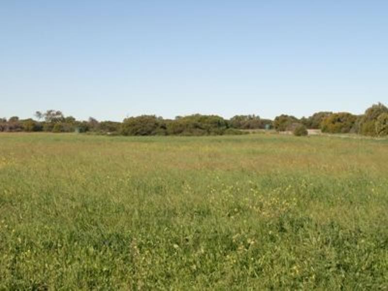 Lot 38 River Gum Way, Springfield WA 6525