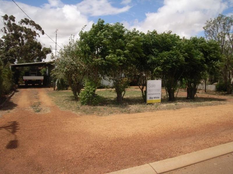21 Williamson Street, Three Springs WA 6519