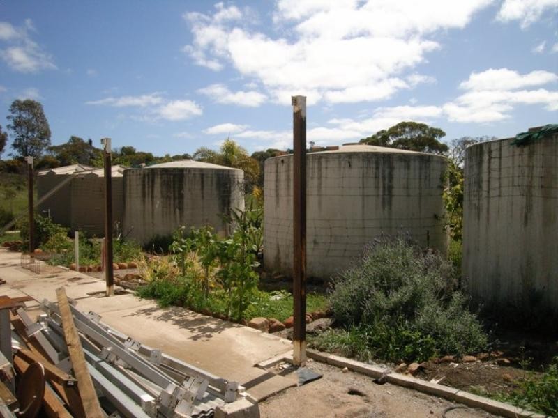 Lot 2684 East Bonniefield Road, Dongara WA 6525