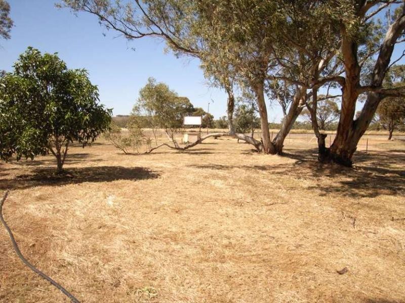 21 Caulfield Place Irwin, Dongara WA 6525