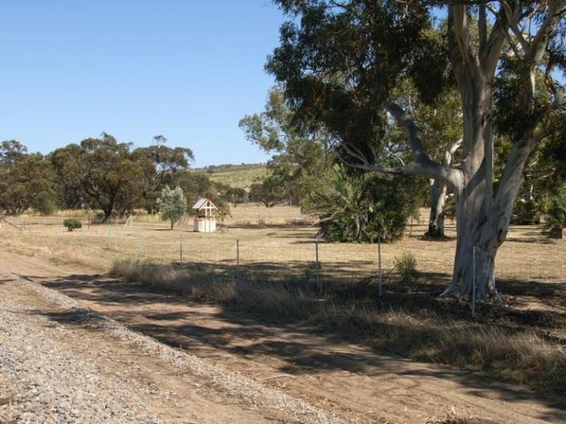 21 Caulfield Place Irwin, Dongara WA 6525