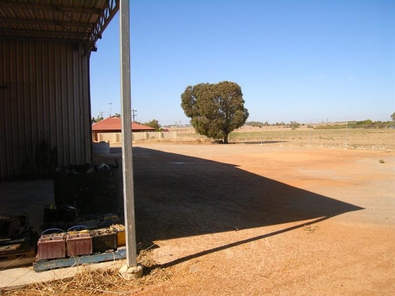 50 Vincent Street, Dongara WA 6525