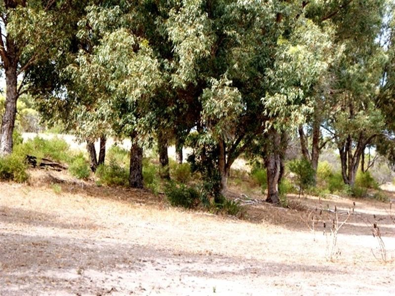 1 Acacia Road, Springfield WA 6525