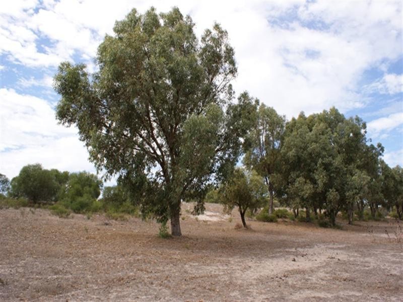 1 Acacia Road, Springfield WA 6525