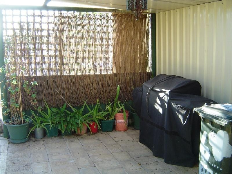 6 Reeve Terrace, Port Denison WA 6525