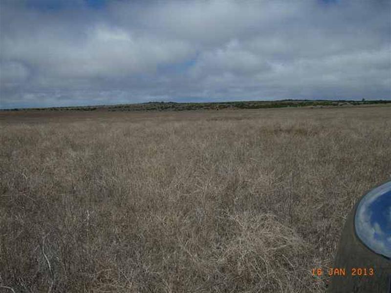 M347 Wye Farm Road, Bonniefield WA 6525