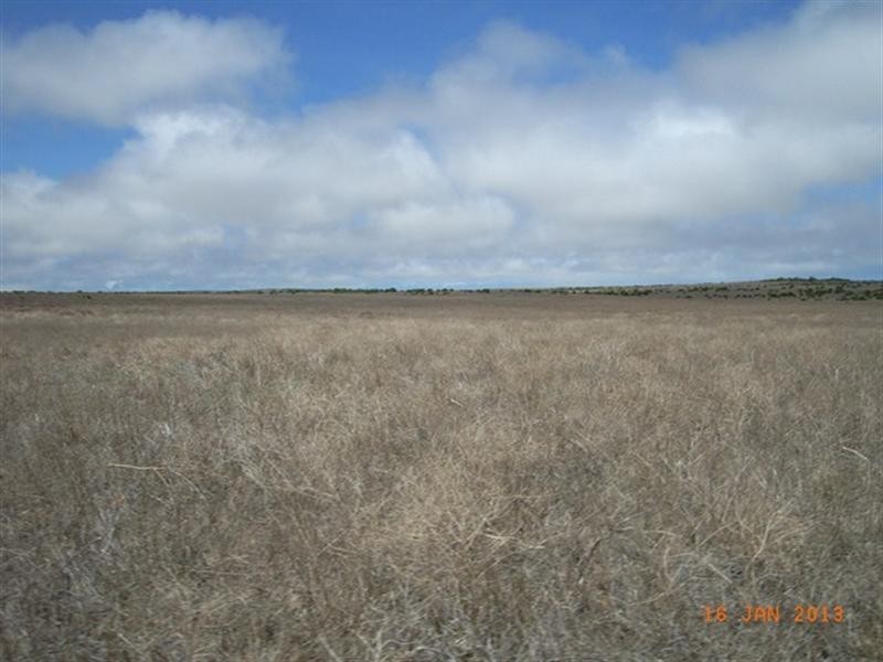 M347 Wye Farm Road, Bonniefield WA 6525