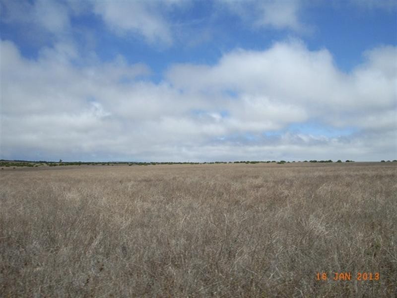 M347 Wye Farm Road, Bonniefield WA 6525