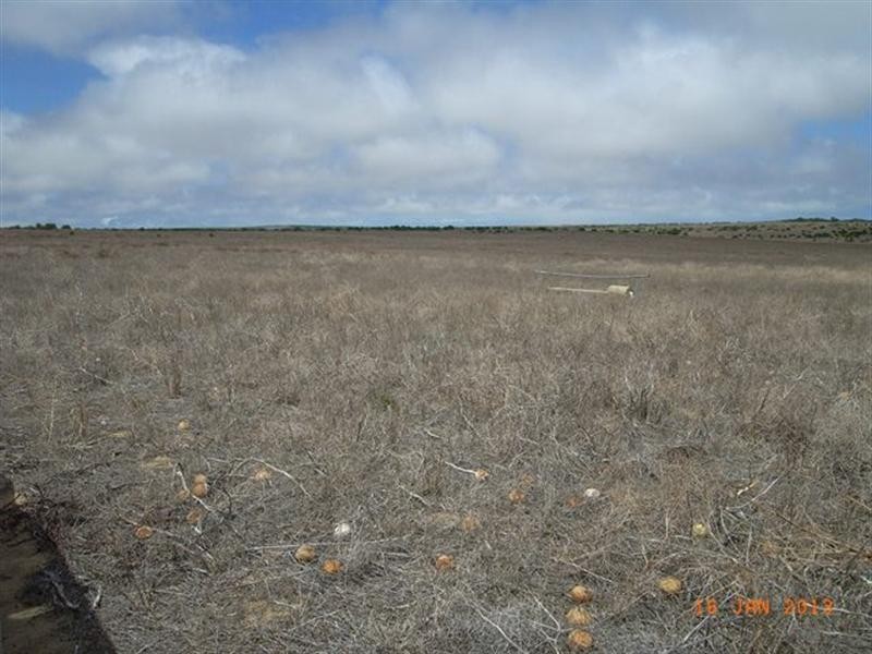 M347 Wye Farm Road, Bonniefield WA 6525