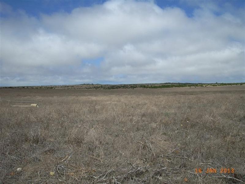 M347 Wye Farm Road, Bonniefield WA 6525