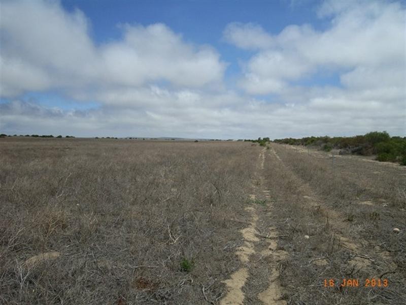 M347 Wye Farm Road, Bonniefield WA 6525
