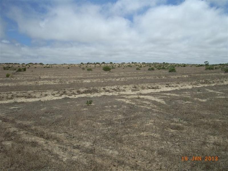 M347 Wye Farm Road, Bonniefield WA 6525