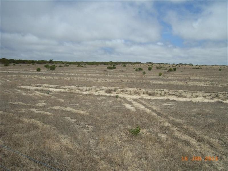 M347 Wye Farm Road, Bonniefield WA 6525