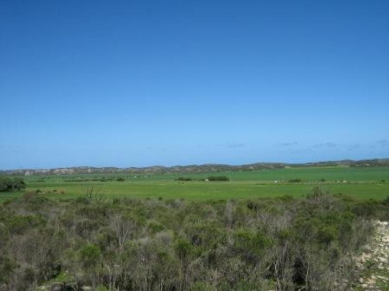 2297 Henry Road, Greenough WA 6532