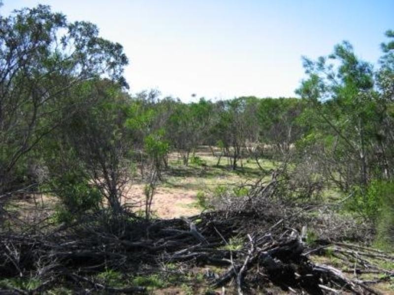 2297 Henry Road, Greenough WA 6532