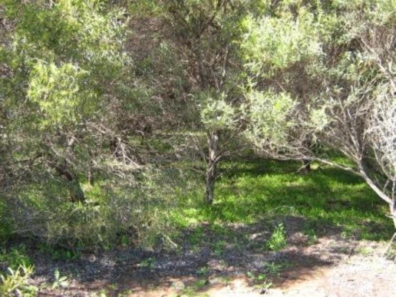 2297 Henry Road, Greenough WA 6532