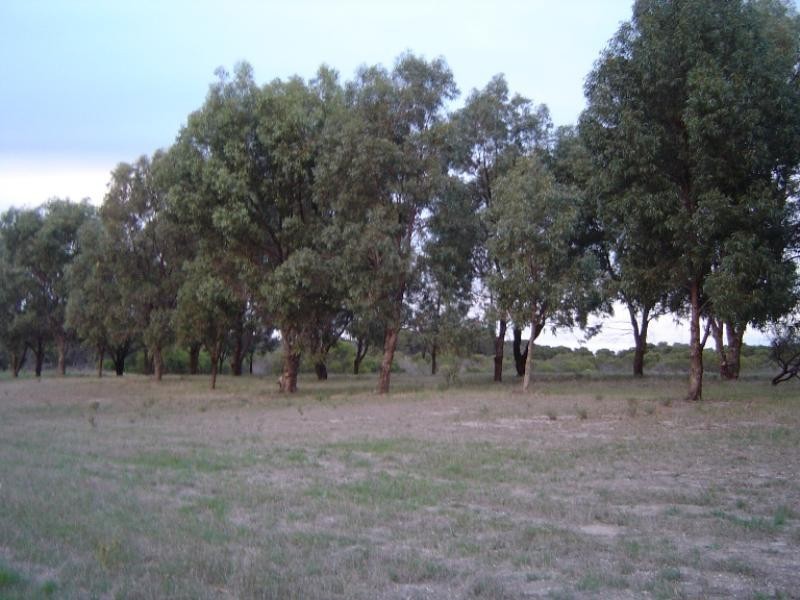 10 Sheoak Road, Springfield WA 6525