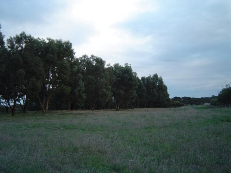 10 Sheoak Road, Springfield WA 6525