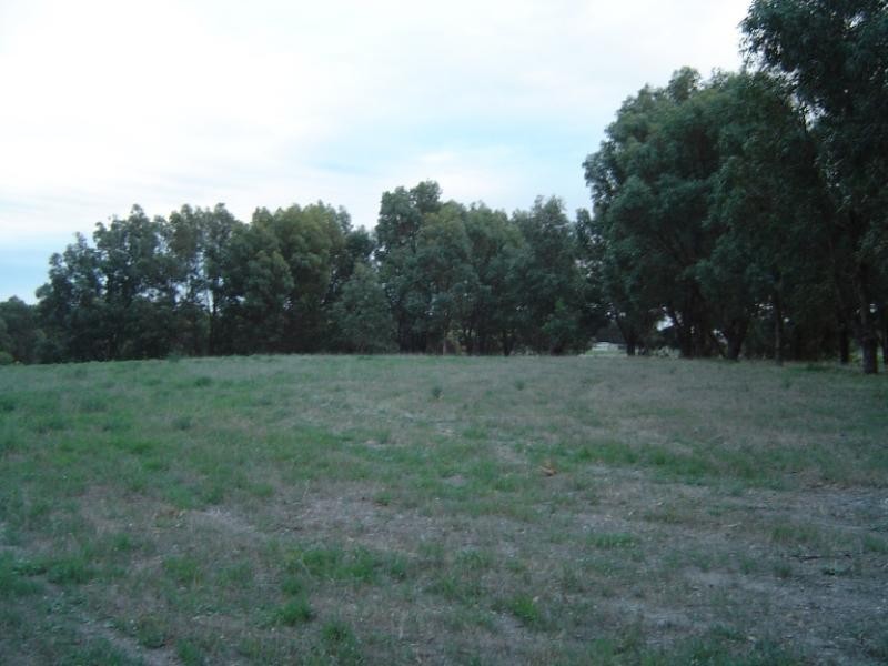 10 Sheoak Road, Springfield WA 6525