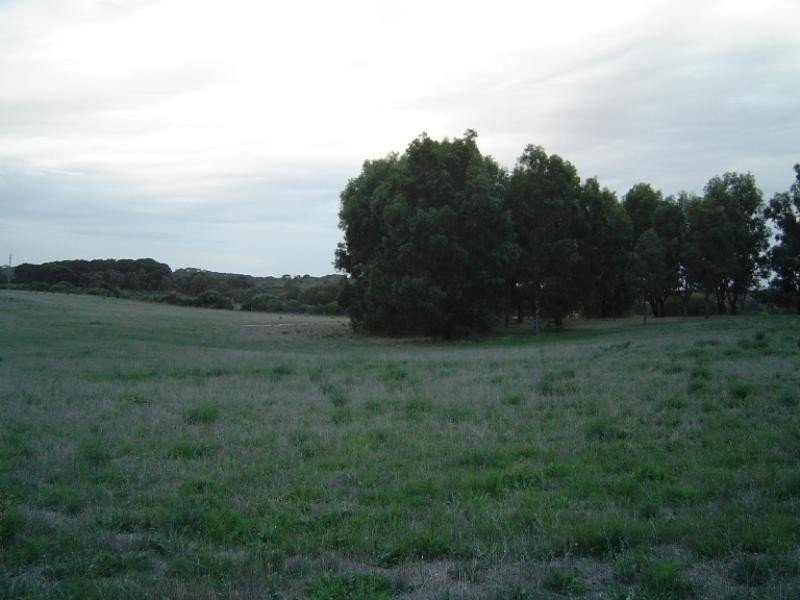 10 Sheoak Road, Springfield WA 6525