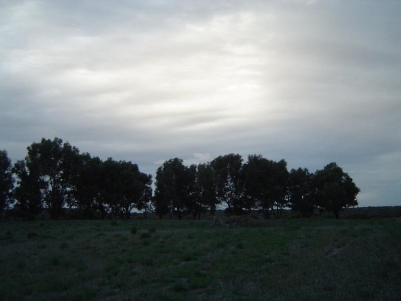 10 Sheoak Road, Springfield WA 6525