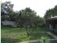 251 Point Leander Drive, Port Denison WA 6525
