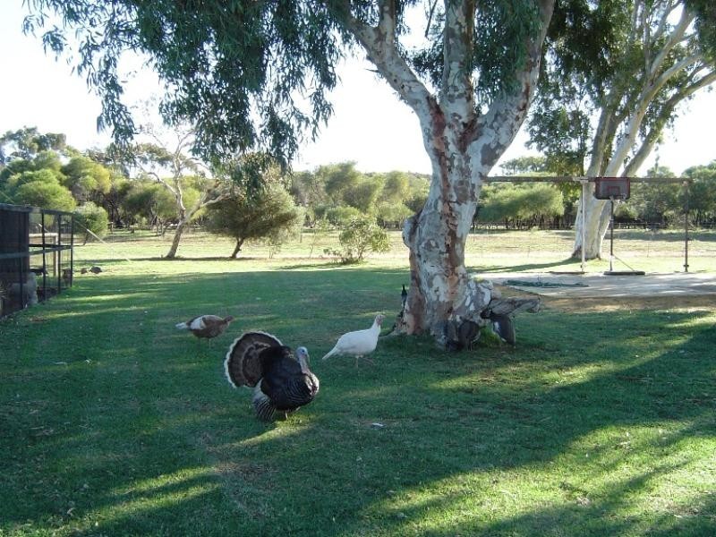 26 Matsen Road, Bookara WA 6525