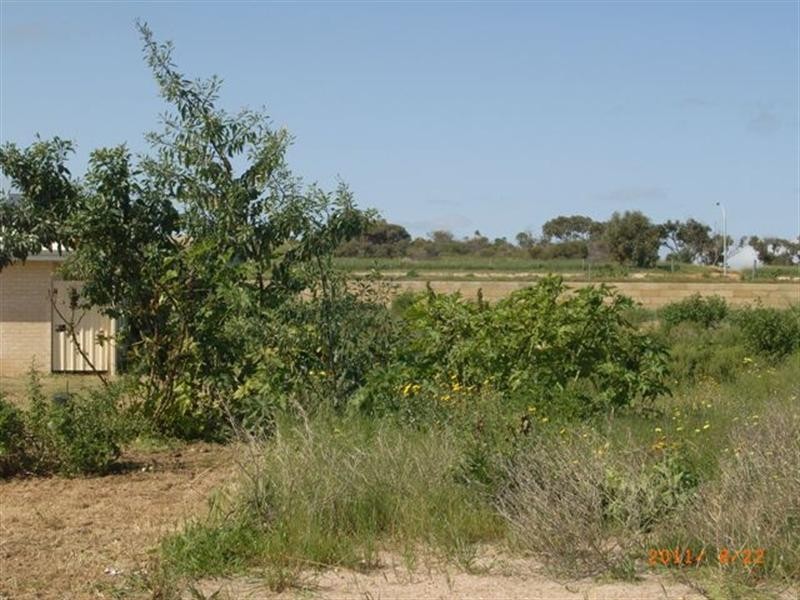 1 Ayelia Parkway, Port Denison WA 6525